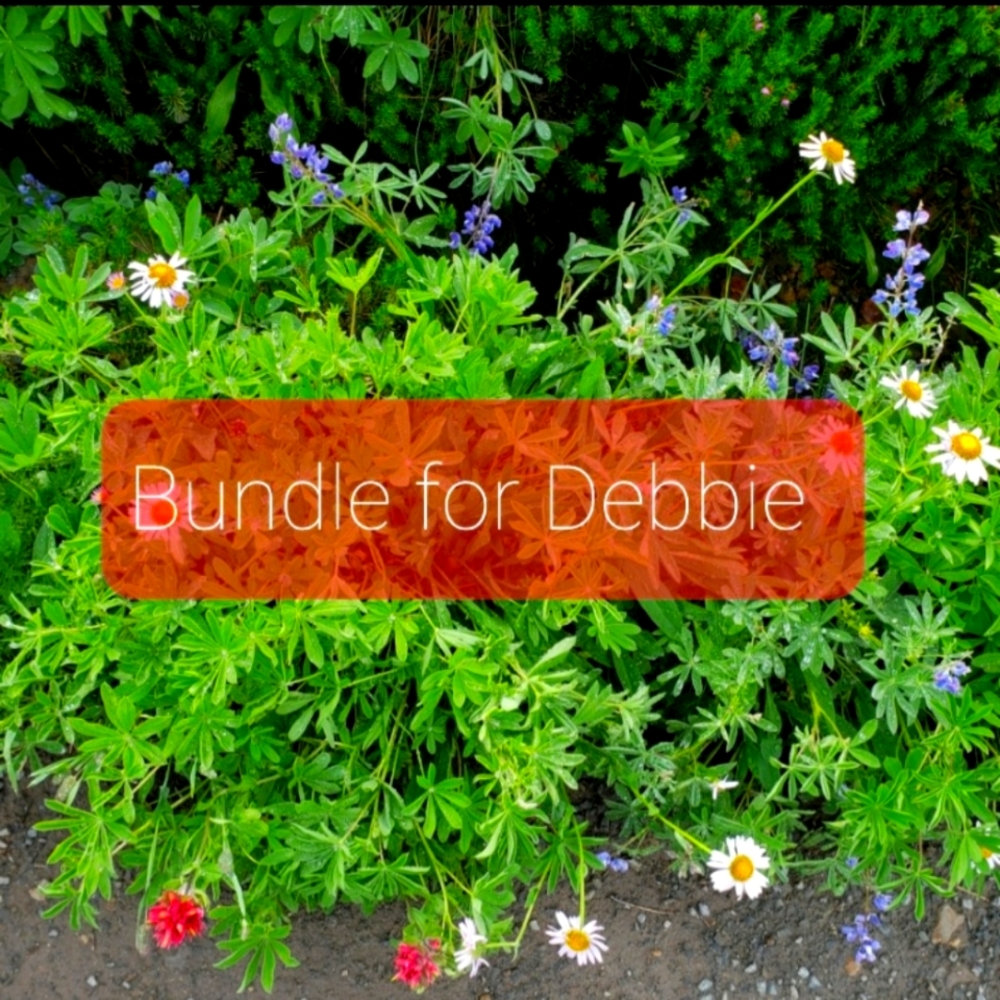 Bundle for Debbie reserved